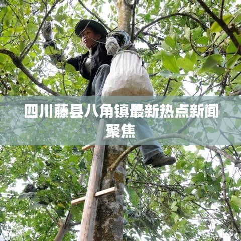 四川藤县八角镇最新热点新闻聚焦