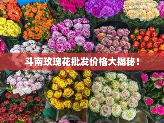 斗南玫瑰花批发价格大揭秘！
