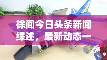 徐闻今日头条新闻综述，最新动态一网打尽