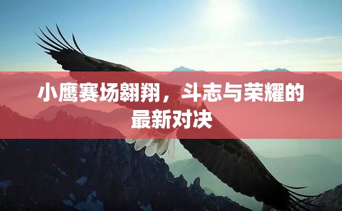 小鹰赛场翱翔，斗志与荣耀的最新对决