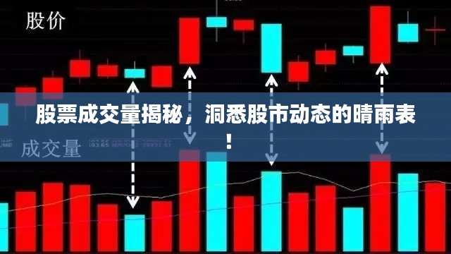 股票成交量揭秘，洞悉股市动态的晴雨表！