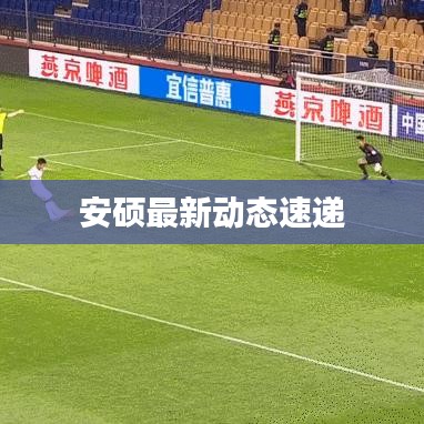安硕最新动态速递