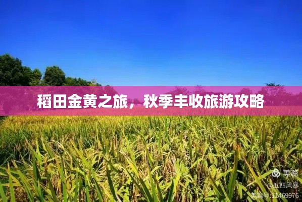神清气朗