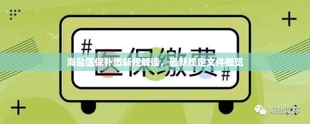 海盐医保补缴新规解读，最新规定文件概览