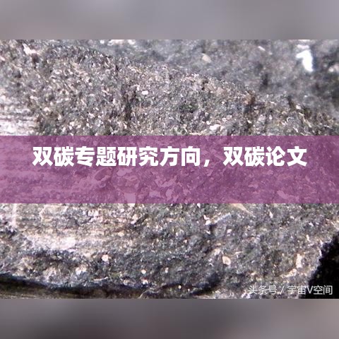 双碳专题研究方向，双碳论文 