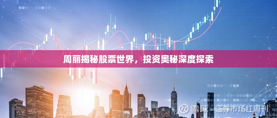 周丽揭秘股票世界，投资奥秘深度探索
