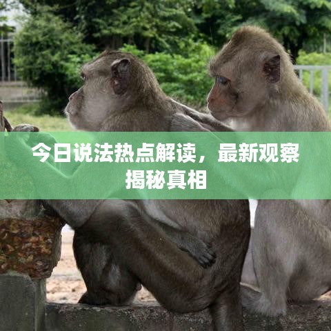 今日说法热点解读，最新观察揭秘真相
