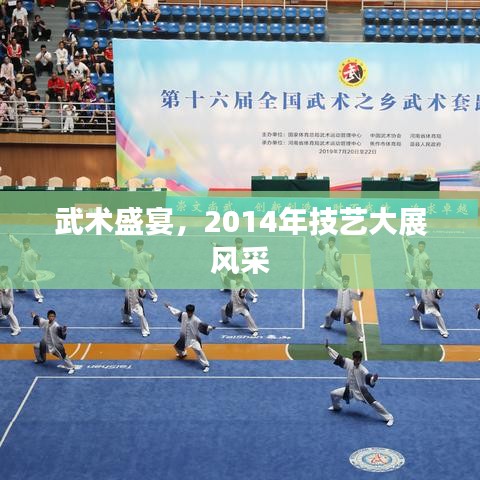 武术盛宴，2014年技艺大展风采