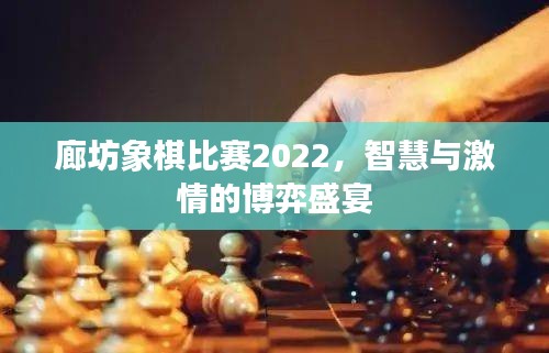 廊坊象棋比赛2022，智慧与激情的博弈盛宴