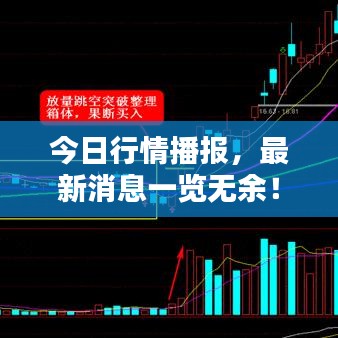 今日行情播报，最新消息一览无余！