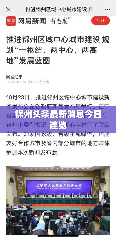 锦州头条最新消息今日速览
