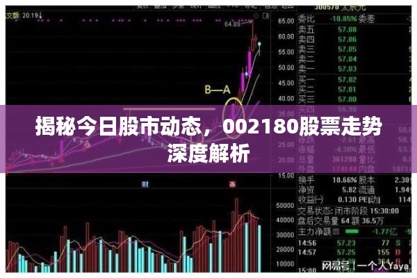 揭秘今日股市动态，002180股票走势深度解析