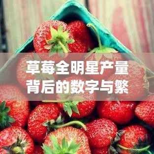 草莓全明星产量背后的数字与繁荣故事
