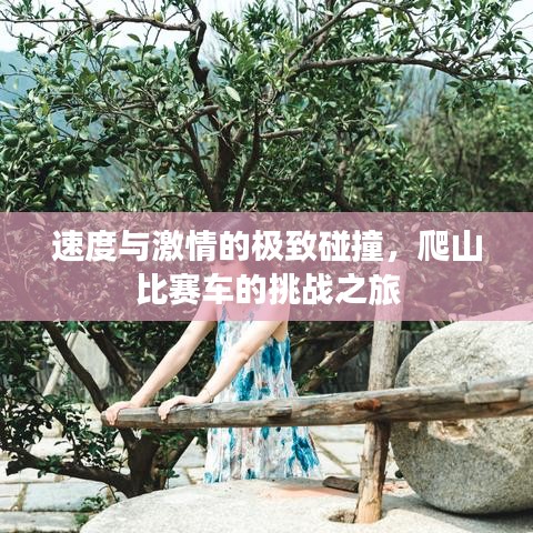 速度与激情的极致碰撞，爬山比赛车的挑战之旅