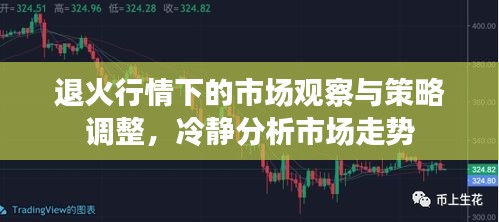 退火行情下的市场观察与策略调整，冷静分析市场走势