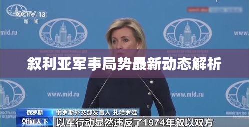 叙利亚军事局势最新动态解析