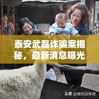 泰安武磊诈骗案揭秘，最新消息曝光！