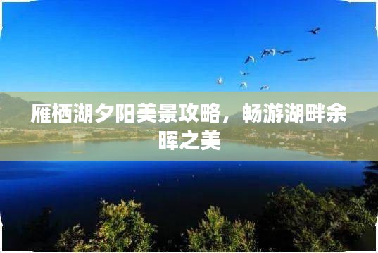 雍容典雅