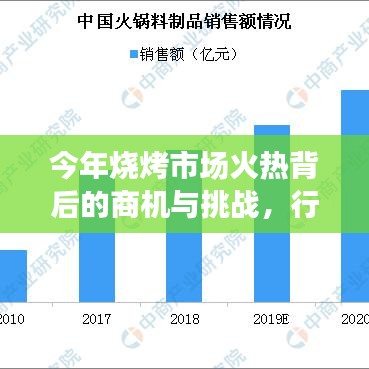 今年烧烤市场火热背后的商机与挑战，行业趋势深度剖析