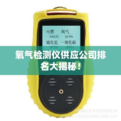 氧气检测仪供应公司排名大揭秘！