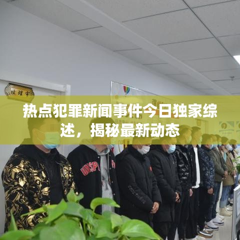 热点犯罪新闻事件今日独家综述，揭秘最新动态