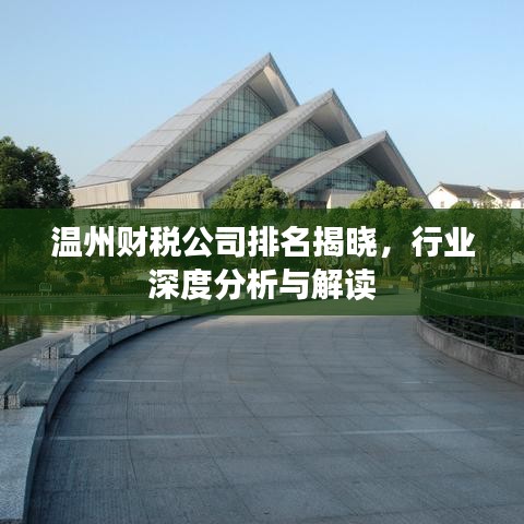 温州财税公司排名揭晓，行业深度分析与解读