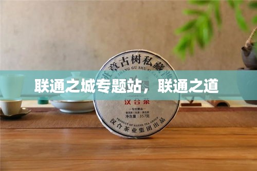 联通之城专题站，联通之道 