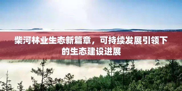 柴河林业生态新篇章，可持续发展引领下的生态建设进展