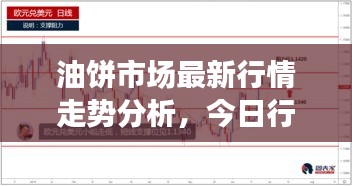 油饼市场最新行情走势分析，今日行情及市场预测