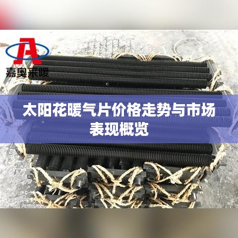 豪门贵胄