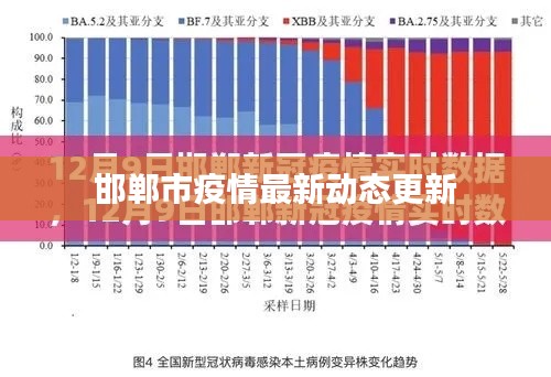 一本正经