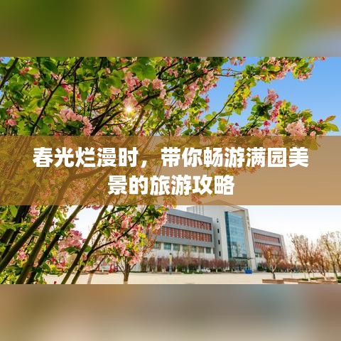 鸟骇鼠窜