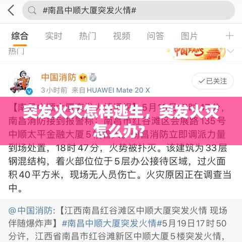 富贵逼人来
