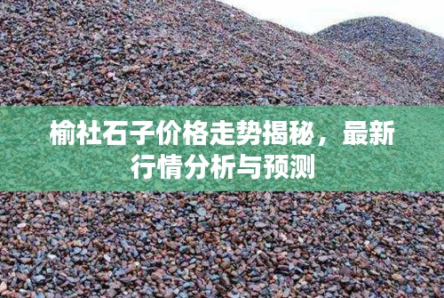 榆社石子价格走势揭秘，最新行情分析与预测