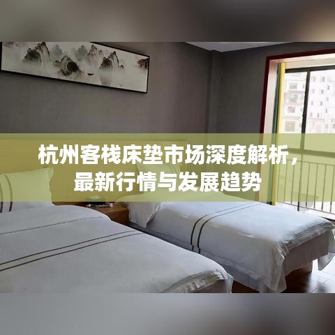 杭州客栈床垫市场深度解析，最新行情与发展趋势