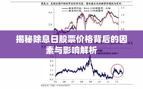 揭秘除息日股票价格背后的因素与影响解析