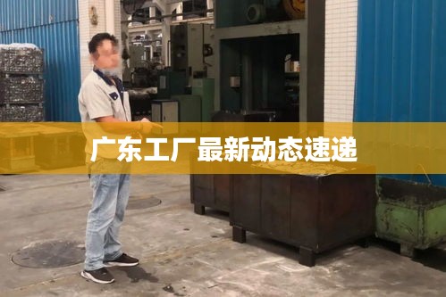 广东工厂最新动态速递