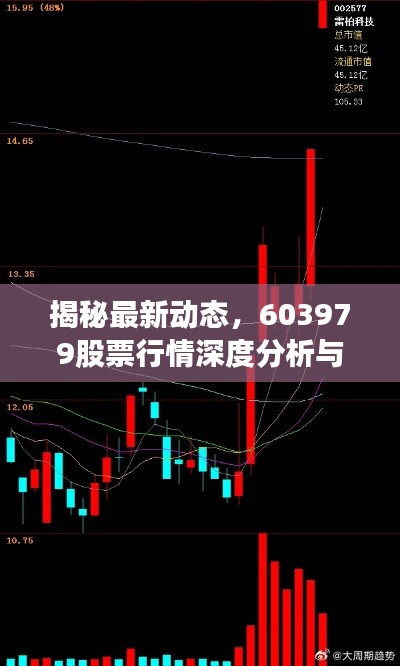 揭秘最新动态，603979股票行情深度分析与未来展望