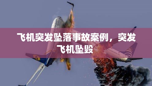 飞机突发坠落事故案例，突发飞机坠毁 