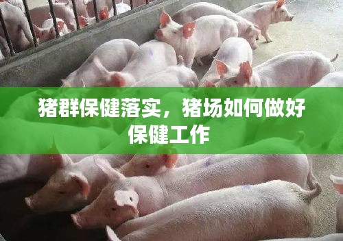 悬驼就石