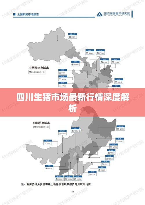 四川生猪市场最新行情深度解析