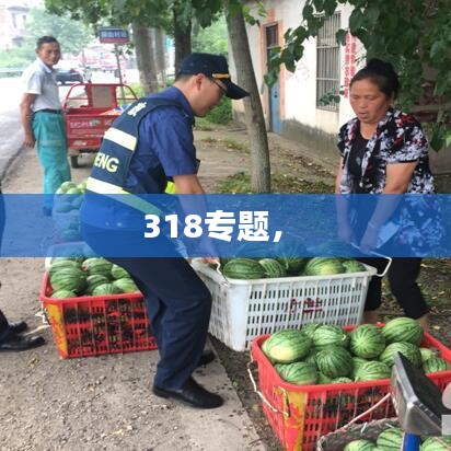 318专题， 