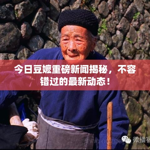 今日豆嬷重磅新闻揭秘，不容错过的最新动态！