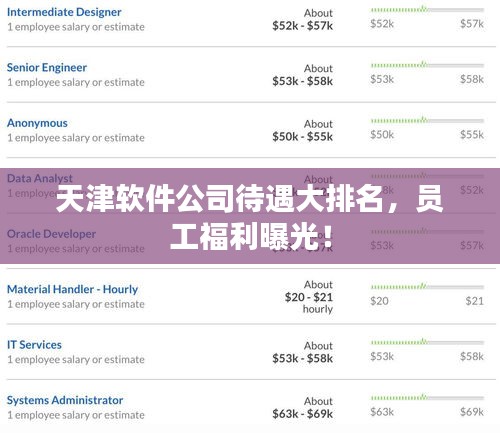 天津软件公司待遇大排名，员工福利曝光！