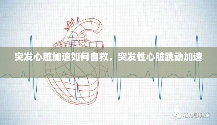 突发心脏加速如何自救，突发性心脏跳动加速 
