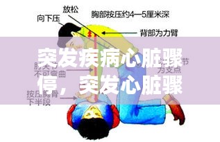 突发疾病心脏骤停，突发心脏骤停的应急处理抢救流程 