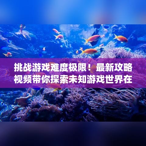 挑战游戏难度极限！最新攻略视频带你探索未知游戏世界在线观看