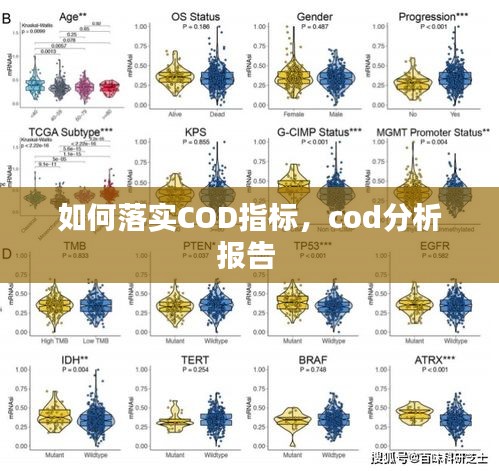 如何落实COD指标，cod分析报告 