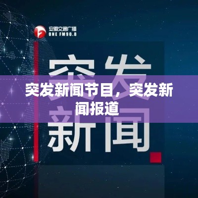 就地取材