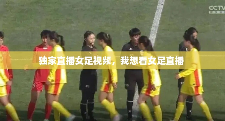 行百里者半九十